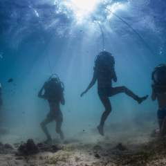 sea walking and jumping
