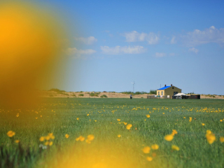 陈旗东乌珠尔苏木