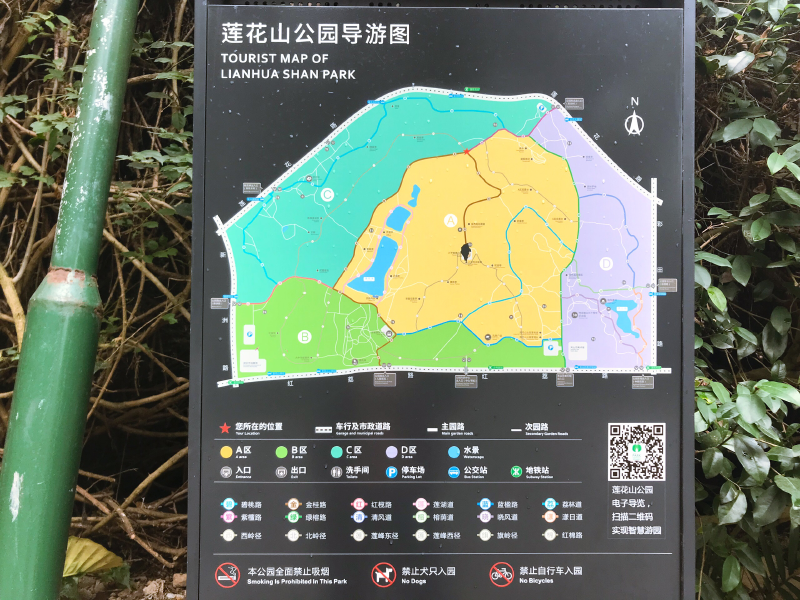 我在深圳莲花山平台俯瞰福田中轴线在莲花湖欣赏秋之静美