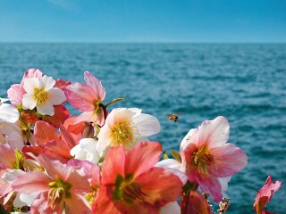 摩纳哥市天气预报