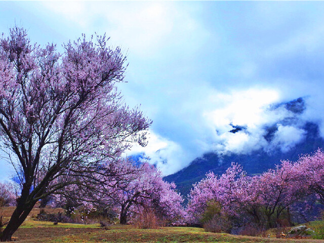 4月份去哪旅游好 这些4月份去旅游最好的地方