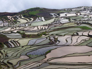 元阳梯田