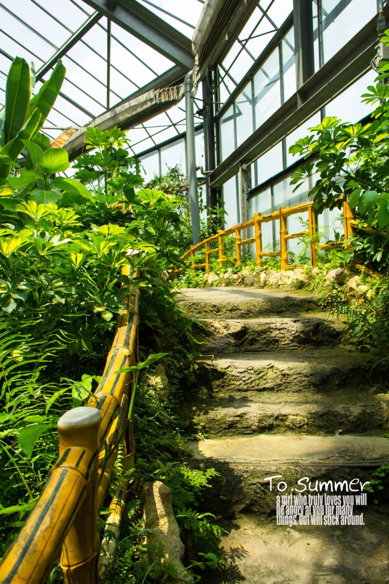 【華南植物園】溫室裡的花朵