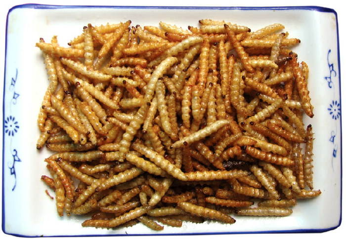 还有烤水蜻蜓,烤竹虫等,胆大的人可以尝试一次吃五只水蜻蜓和竹虫