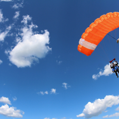 Tandem parachuting. Canopy in the sky.