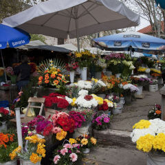 Flower Market