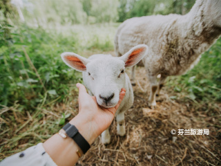 Leineperi炼铁厂村