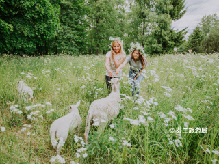 Leineperi炼铁厂村