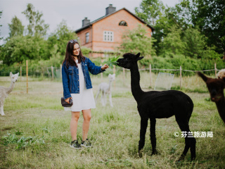 Mathildedal炼铁厂村