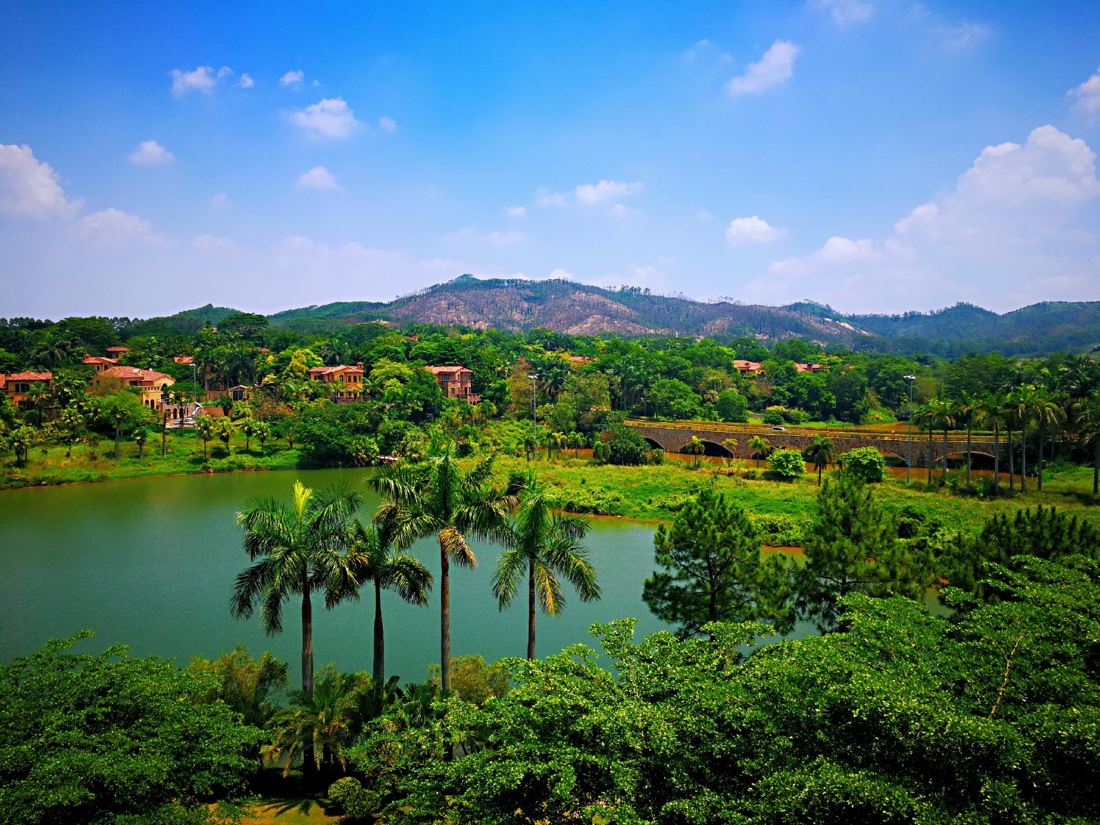 猎艳行动#广州美林湖温泉大酒店,单身狗的520独家记忆