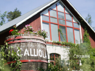 卡利奥拉会展中心