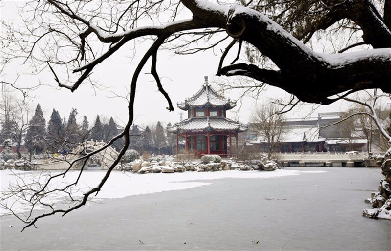 冬游古莲花池忽而一场雪仿佛天地初生时