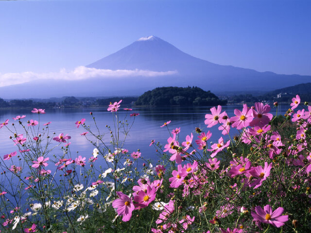 福星高照丨上海-日本本州+四国+九州9晚10日