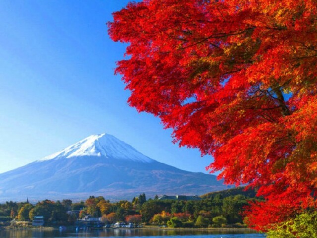 福星高照丨上海-日本本州+四国+九州9晚10日