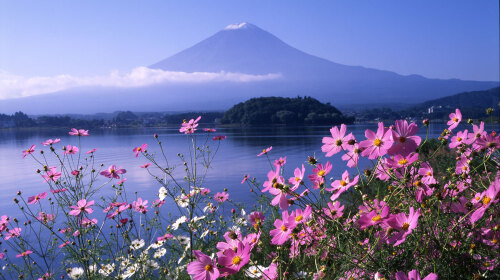 福星高照丨上海-日本本州+四国+九州9晚10日