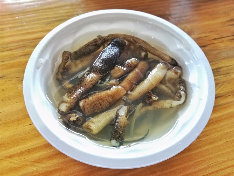 进阶版的,可以选择土笋汤,这也是沙虫的