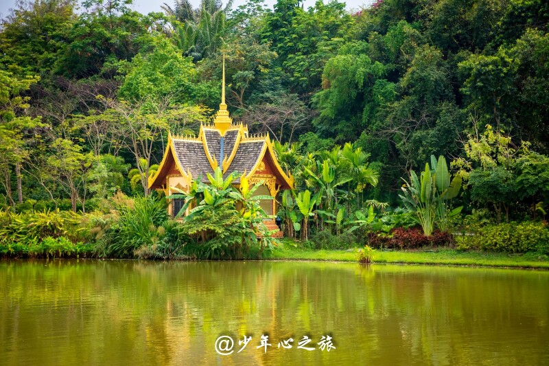 【首发】穿梭热带雨林,迷陷傣乡柔情——神奇的西双版纳