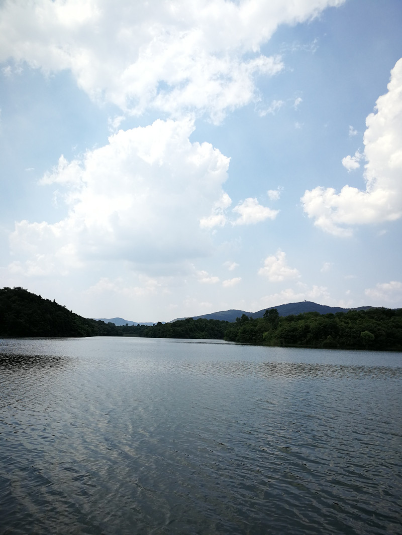 佛手湖郊野公園