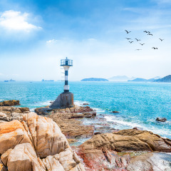 灯塔与海鸥