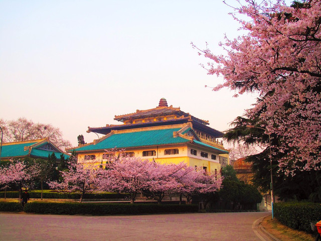 名校名湖名景-国内最美大学武汉大学