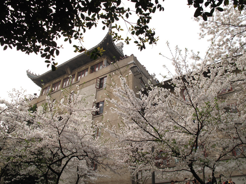 名校名湖名景--國內最美大學武漢大學