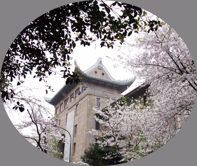 名校名湖名景-国内最美大学武汉大学