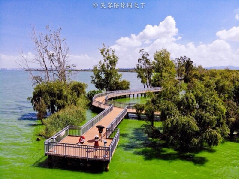 我的12年捞鱼河公园昆明超有feel水上森林