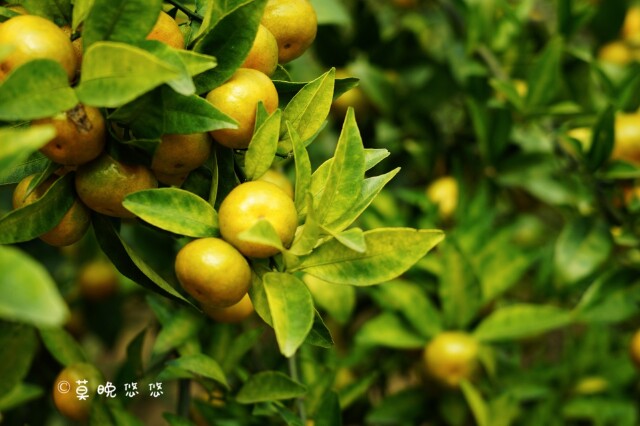 【首发】邂逅一段浪漫旅程,纵情一场山水之约