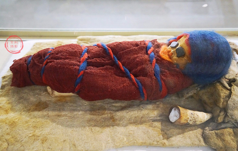 阳关博物馆婴儿干尸图片