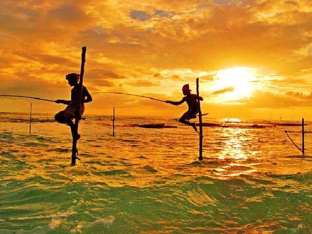 斯里兰卡5晚7日游 狮子岩+佛牙寺+海边火车+