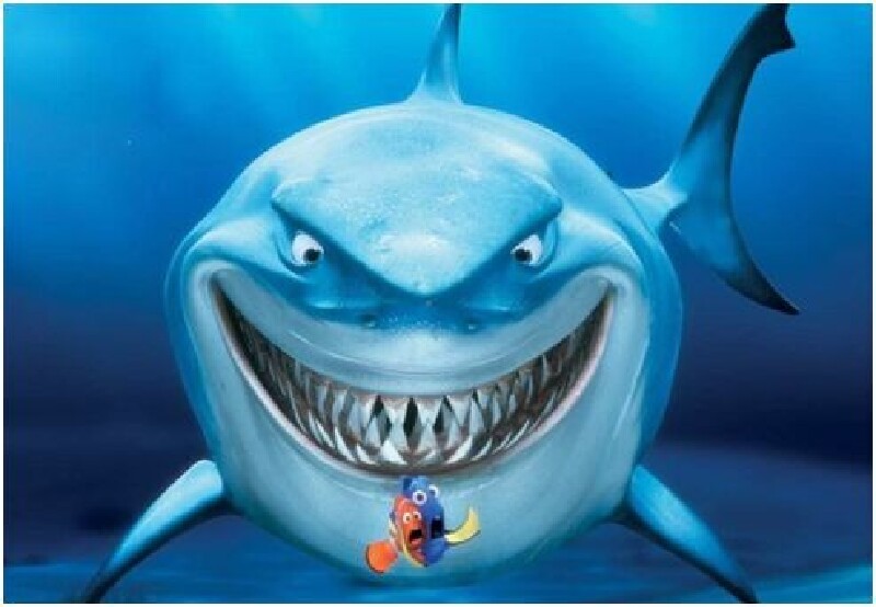 携手海底总动员小丑鱼父子来一场海洋世界大冒险