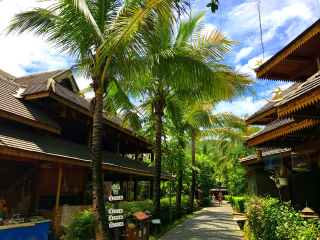 勐景来旅游景区