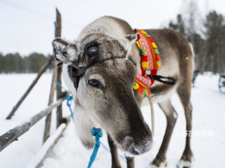 基尔皮斯耶尔维