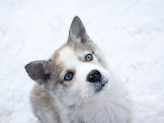 奥洛斯滑雪胜地