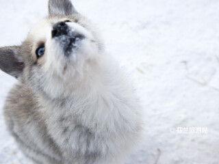 奥洛斯滑雪胜地