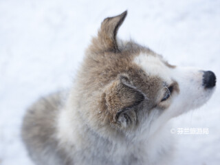 奥洛斯滑雪胜地