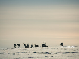 基尔皮斯耶尔维