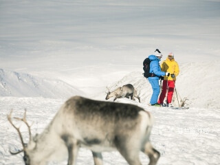基尔皮斯耶尔维