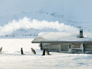 基尔皮斯耶尔维