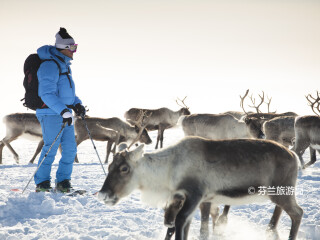 基尔皮斯耶尔维
