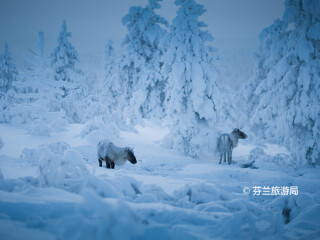 萨利色尔卡滑雪小镇