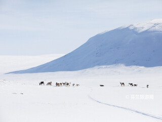 基尔皮斯耶尔维