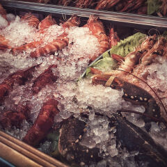 Fresh Seafood At Market