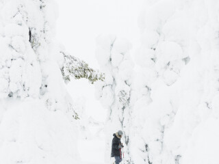 皮海-洛斯托国家公园