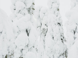 皮海-洛斯托国家公园