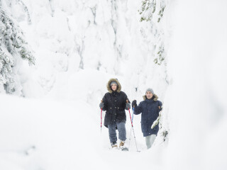 皮海-洛斯托国家公园