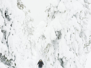 皮海-洛斯托国家公园