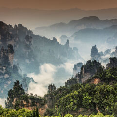 Zhangjiajie forest
