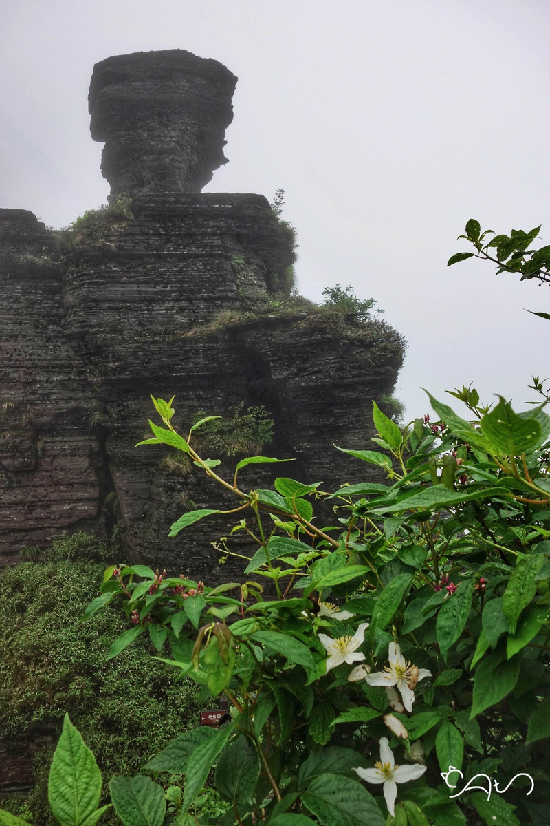 梵净山双子峰图片