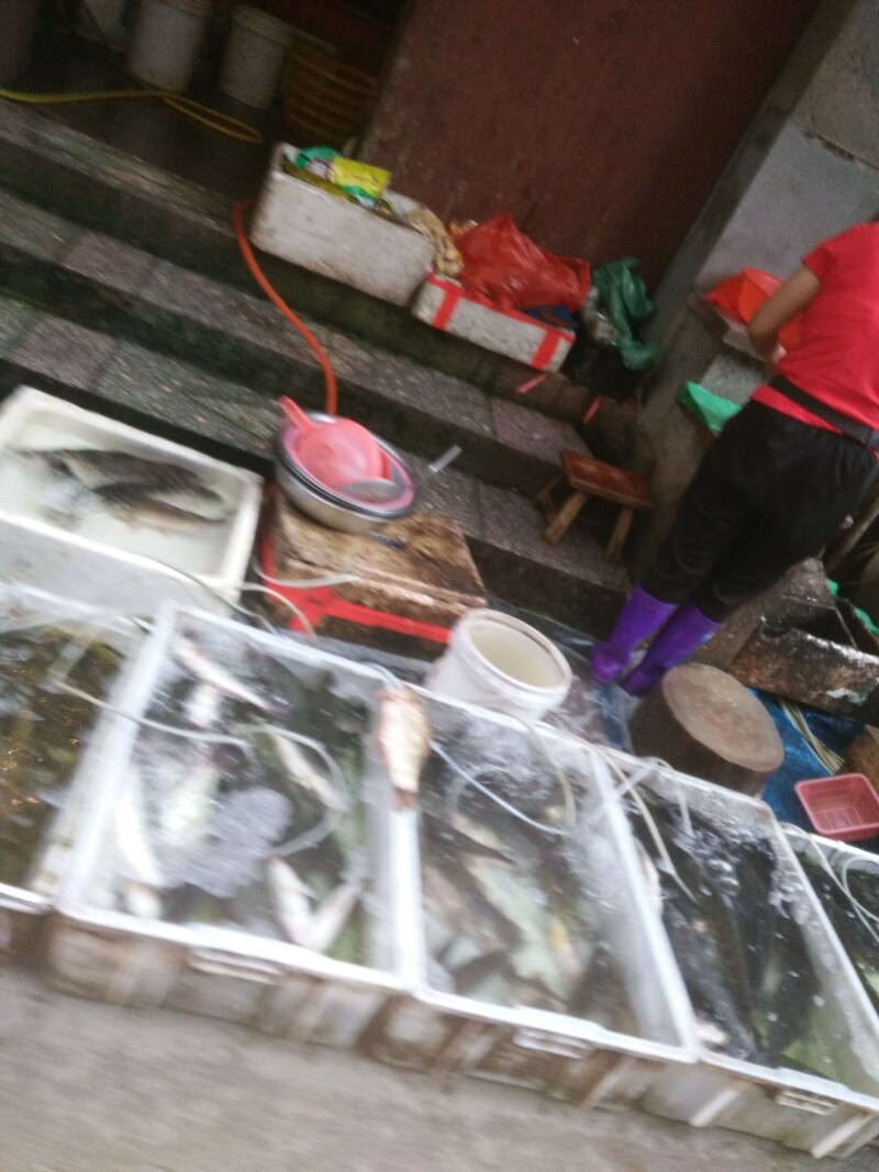 食用市场地摊上的地摊鱼需谨慎